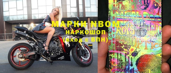 молекула духа Арсеньев