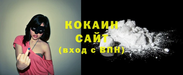 молекула духа Арсеньев