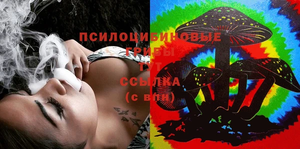 молекула духа Арсеньев