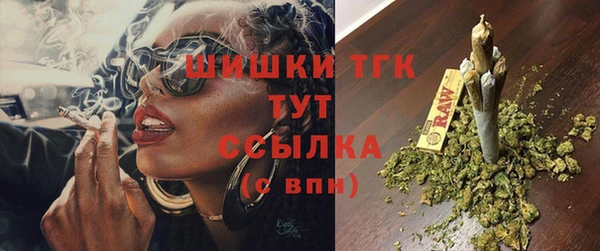 молекула духа Арсеньев