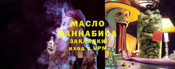 молекула духа Арсеньев